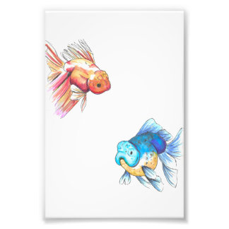 Photo Impression de poisson rouge coloré