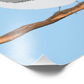 Photo Impression de poulet à carreaux noirs (Coin)