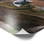 Photo Impression de vache alpine (Coin)