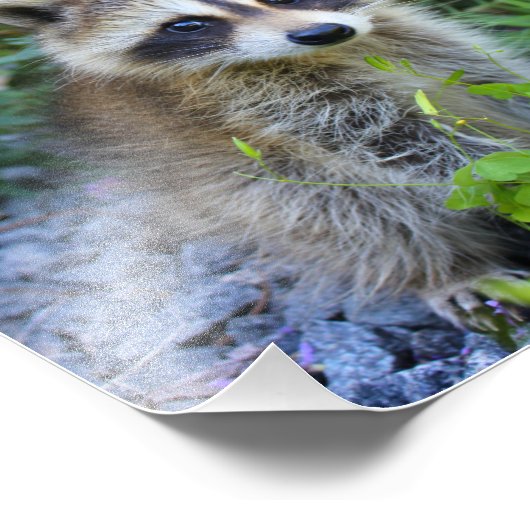 Photo Impression délicate (Coin)