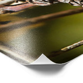 Photo Impression du Carré du Bruant à projection blanche (Coin)