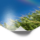 Photo Impression du mur Rainbow été (Coin)