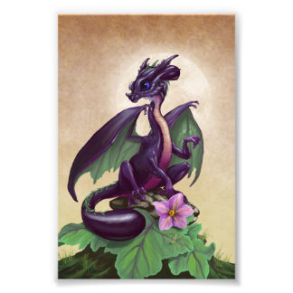 Photo Impression Eggplant Dragon 4x6