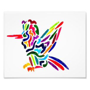 Photo Impression Fiesta Hummingbird
