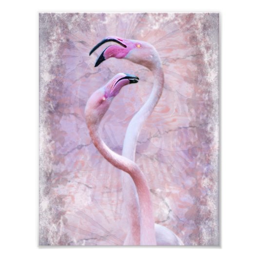 Photo Impression flamenco (Devant)