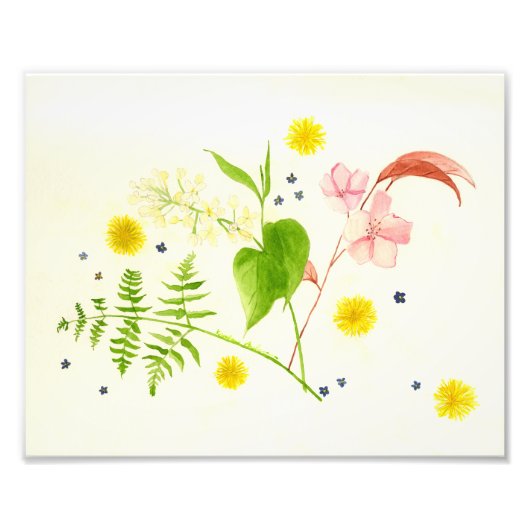 Photo Impression fleur sauvage aquarelle (Devant)