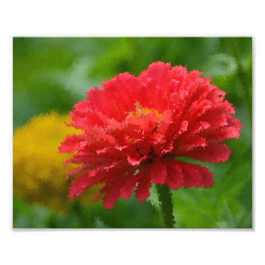 Photo Impression impressionniste de Zinnia (Devant)