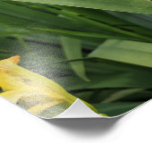 Photo Impression irlandaise jaune (Coin)