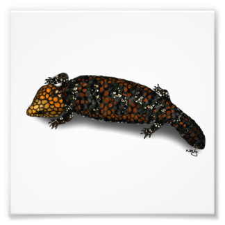 Photo Impression Lizard à fond doré