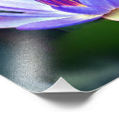 Photo Impression Lotus Flower (Coin)