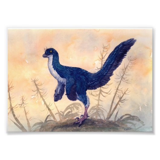 Photo Impression Mei (Devant)