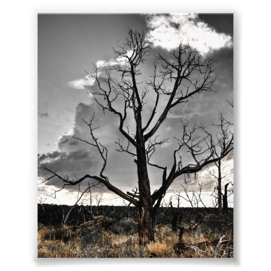 Photo Impression Mesa Verde (Devant)