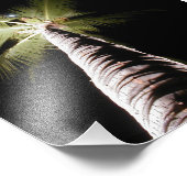 Photo Impression Moon Over Palm (Coin)