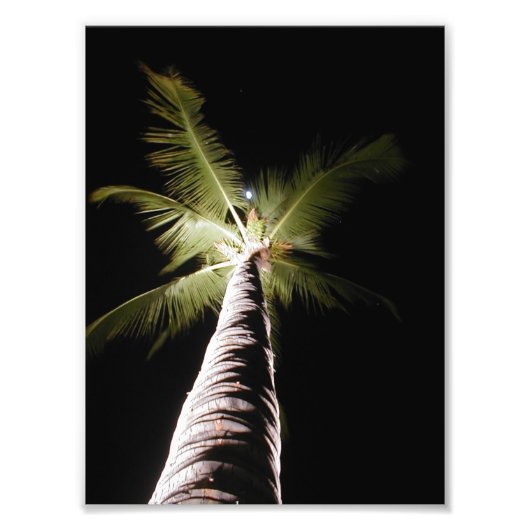 Photo Impression Moon Over Palm (Devant)