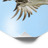 Photo Impression Osprey Unfurled 8x10 (Coin)