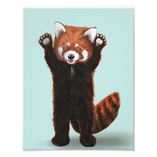 Photo Impression Panda rouge