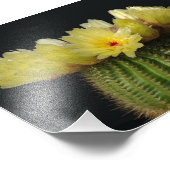 Photo Impression photographique-Cactus en fleurs (Coin)