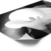 Photo Impression photographique Cala Lily (Coin)