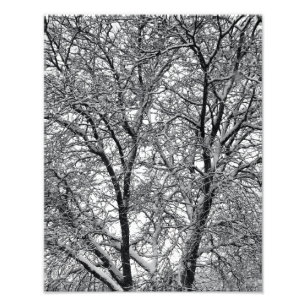 Photo Impression photographique d'arbres enneigés en hiv