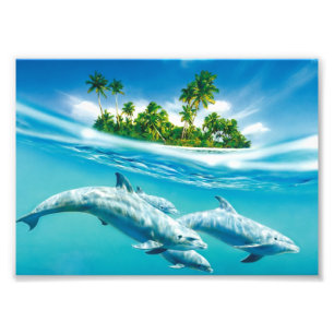 Photo Impression photographique-Dauphins