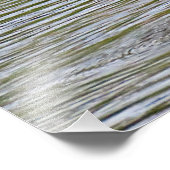 Photo Impression photographique de Flamant rose supérieu (Coin)