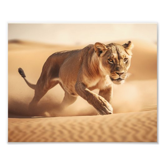 Photo Impression photographique-Lionne (Devant)