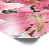 Photo Impression photographique lis roses (Coin)