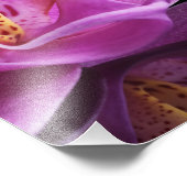 Photo Impression photographique orchidée (Coin)