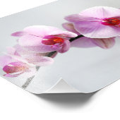 Photo Impression photographique Orchidées roses (Coin)