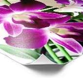 Photo Impression photographique Orchidées violettes (Coin)