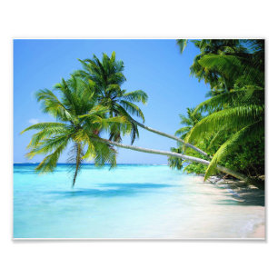 Photo Impression photographique-Plage tropicale