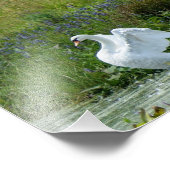 Photo Impression photographique Swan 7 x 5 (Coin)