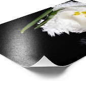 Photo Impression photographique Tulipe (Coin)