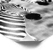 Photo Impression photographique zèbres (Coin)