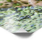 Photo Impression Prince Grenouille (Coin)