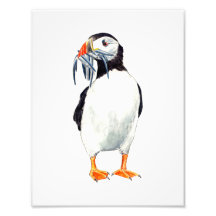 Impression Puffin
