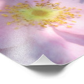 Photo Impression Rose sauvage (Coin)