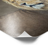 Photo Impression Sphinx (Coin)