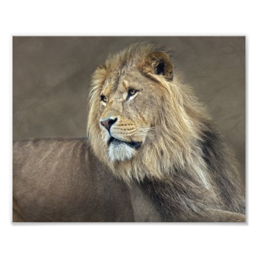 Photo Impression Sphinx (Devant)