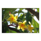 Photo Impression Tropical Jaune (Devant)