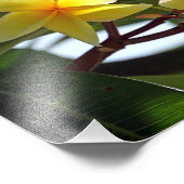 Photo Impression Tropical Jaune (Coin)