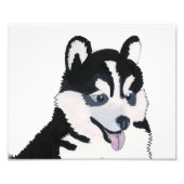 Photo Impression Venus Pup (Devant)