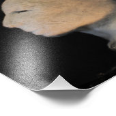 Photo Impression Wolf Woman (Coin)