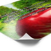 Photo Inspirationnelle - La bonté autour de nous (Coin)