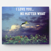 Photo Je T'Aime Peu Importe Quelle plaque (Devant)