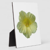 Photo Jolie plaque de Nasturtium (Côté)