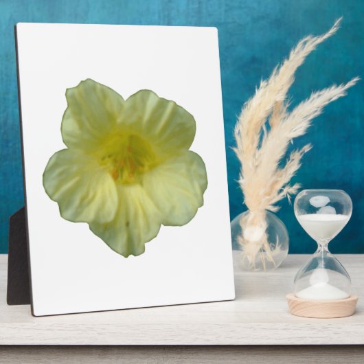 Photo Jolie plaque de Nasturtium (Côté)