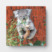 Photo Koala Snack Time Table Top Plaque (Devant)