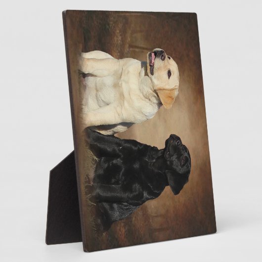 Photo Labrador Récupérer Plaque avec de l'Easel (Côté)