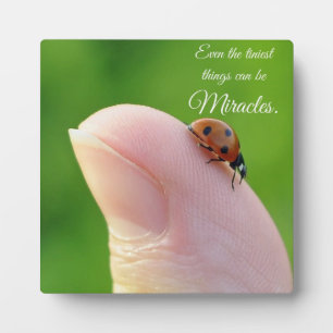 Photo Ladybugs "Les plus petits miracles" Plaque cadeau